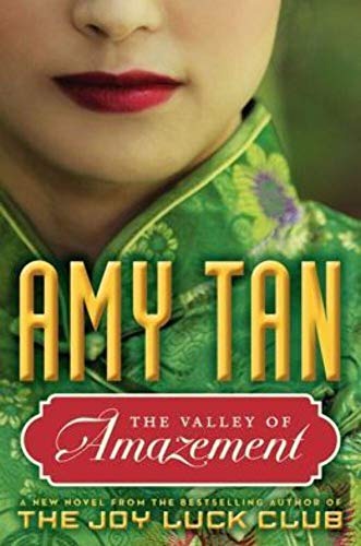 Cover of The Valley of Amazement