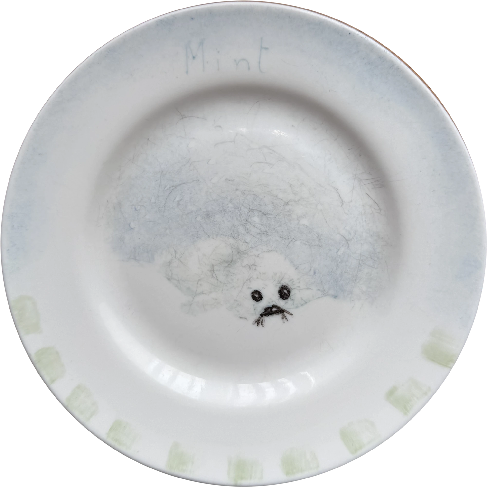 A white ceramic plate I decorated: a seal in a pale blue drift, my name written on the rim and green brush marks around the edge