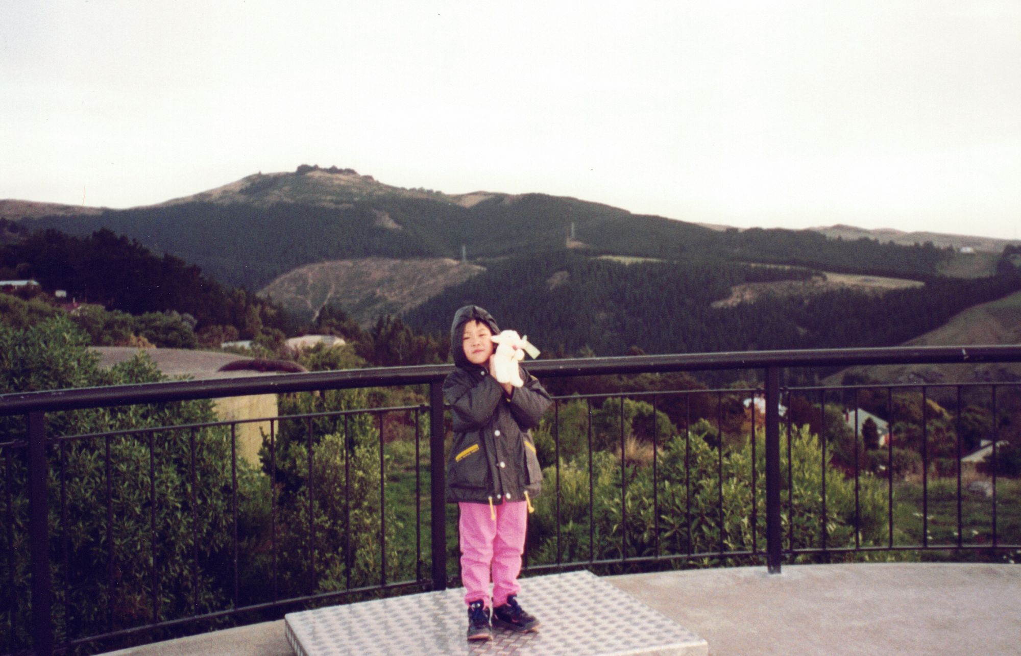 Me at an overlook railing in pink trousers, forested hills behind