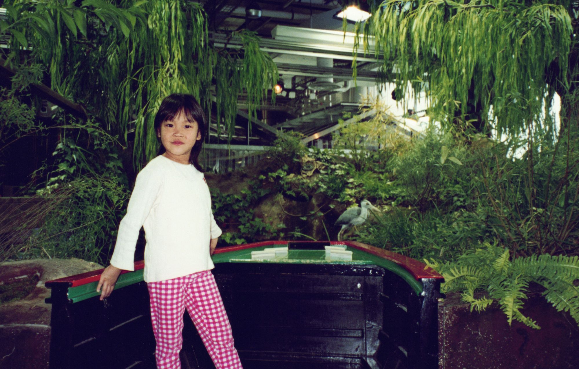 Me standing before a lush greenhouse garden in a white shirt and gingham trousers